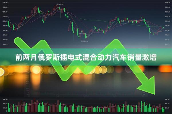 前两月俄罗斯插电式混合动力汽车销量激增
