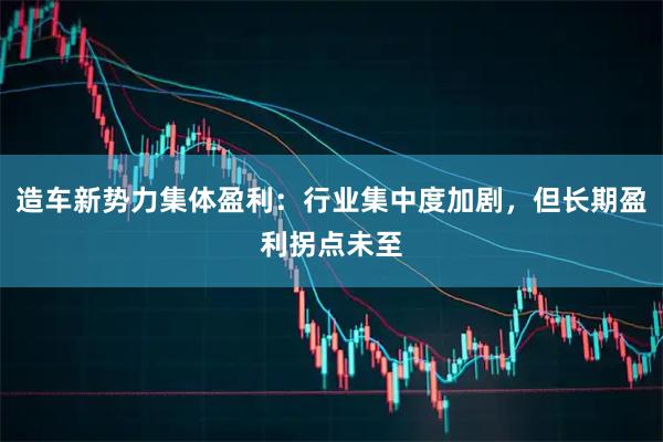 造车新势力集体盈利：行业集中度加剧，但长期盈利拐点未至