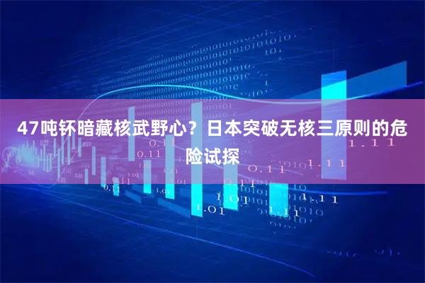 47吨钚暗藏核武野心？日本突破无核三原则的危险试探
