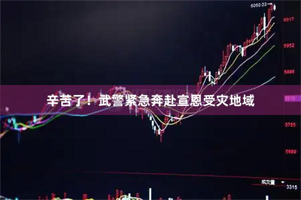 辛苦了！武警紧急奔赴宣恩受灾地域