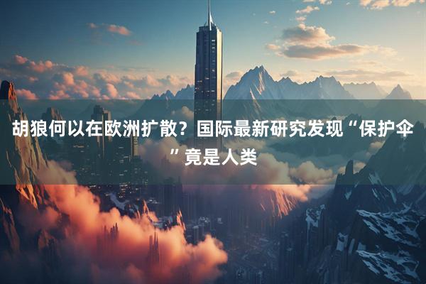 胡狼何以在欧洲扩散？国际最新研究发现“保护伞”竟是人类